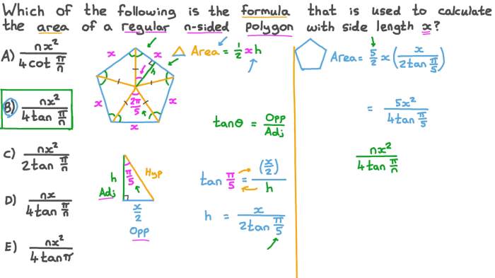 Quiz 1 area of polygons