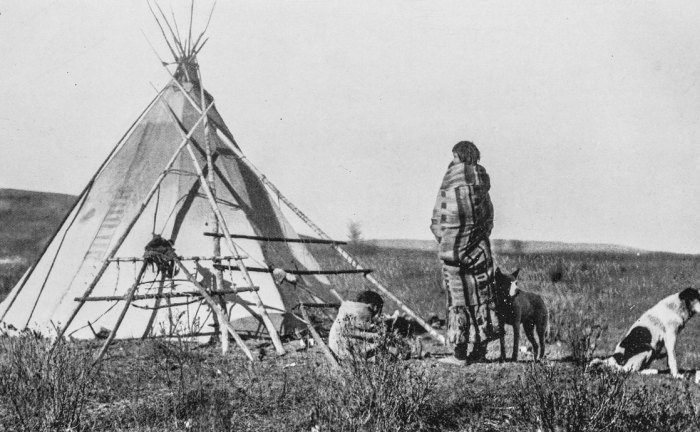 What does tapwe mean in cree