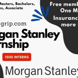 Morgan stanley freshman enhancement program 2024