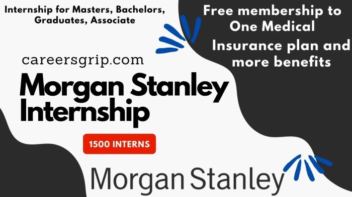 Morgan stanley freshman enhancement program 2024