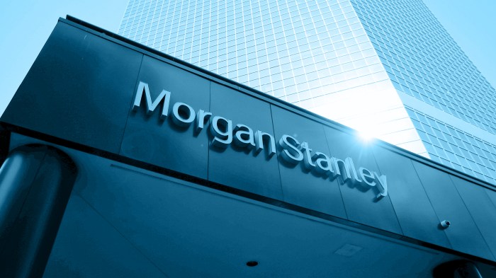 Morgan stanley freshman enhancement program 2024